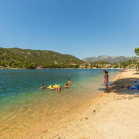 Amazing In With Wifi ブラチェ