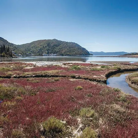 Amazing In With Wifi *