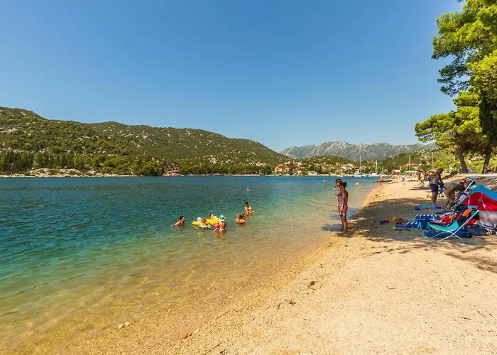 Amazing In With Wifi Blace