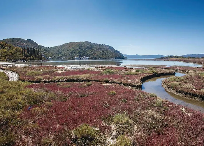 Amazing In With Wifi *