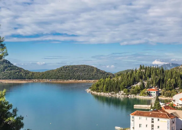 Amazing In With Wifi Appartement Blace