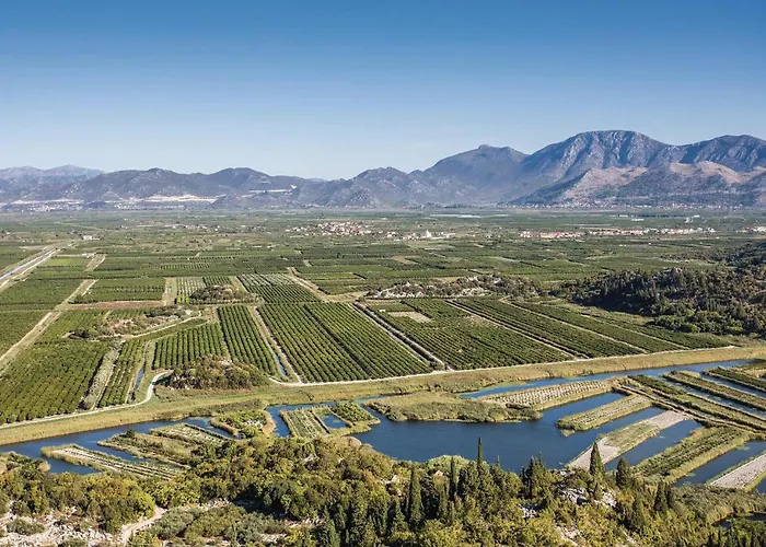 Amazing In With Wifi Appartement